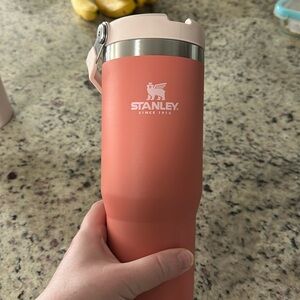 Stanley water bottle limited edition color